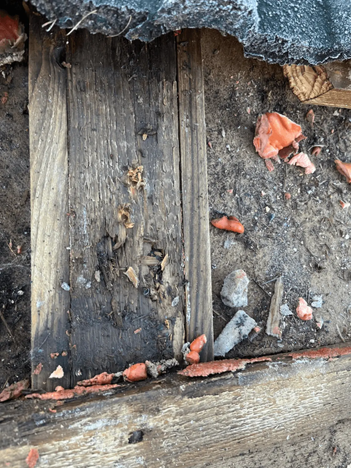 Dachsanierung - Schenefeld